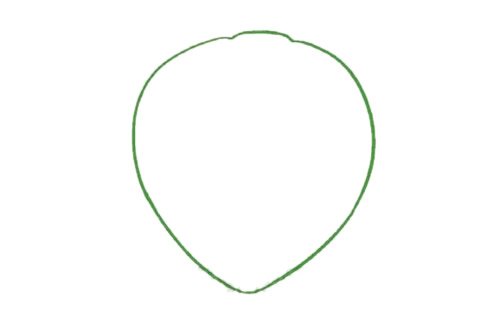 卡通杨桃简笔画图片