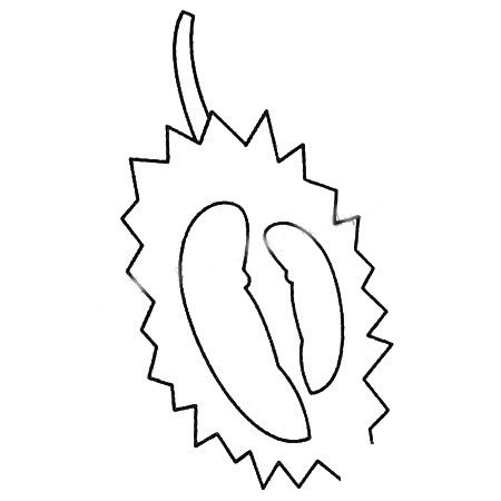 榴莲简笔画大全及画法步骤