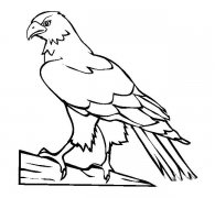 简单的老鹰简笔画画法