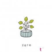 植物简笔画大全，清新简约植物盆栽简笔画