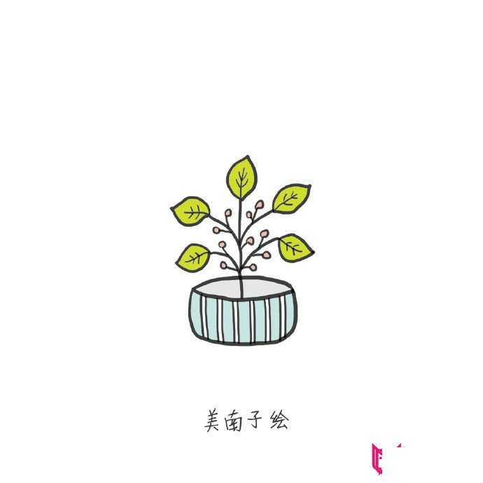 植物简笔画大全,清新简约植物盆栽简笔画