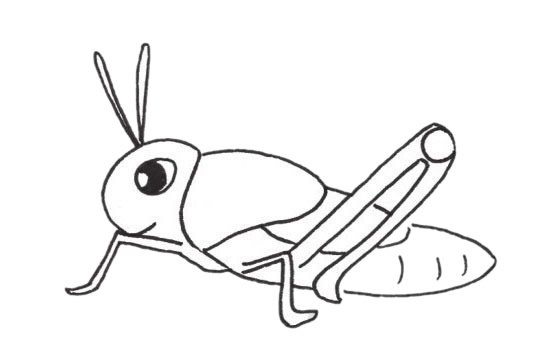 草蜢简笔画图片