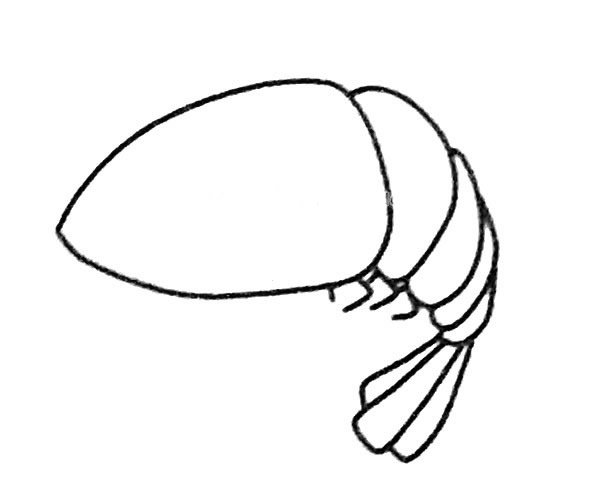 卡通虾的简笔画步骤图解