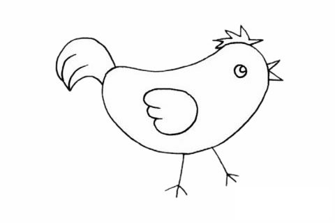 公鸡简笔画