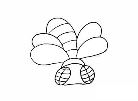 苍蝇简笔画图片