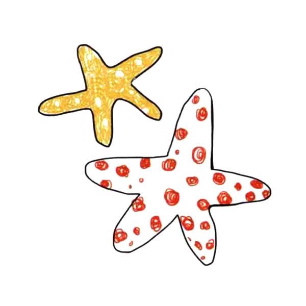 带颜色的漂亮海星简笔画图片