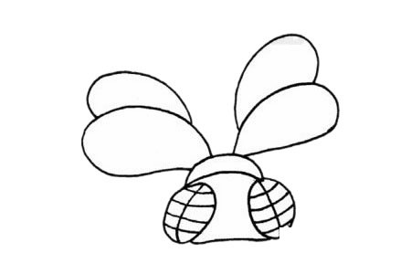 苍蝇简笔画图片