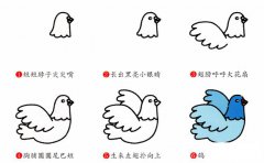 鸽子动物简笔画步骤图片大全