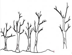 怎么画果林果树简笔画图片简单可爱