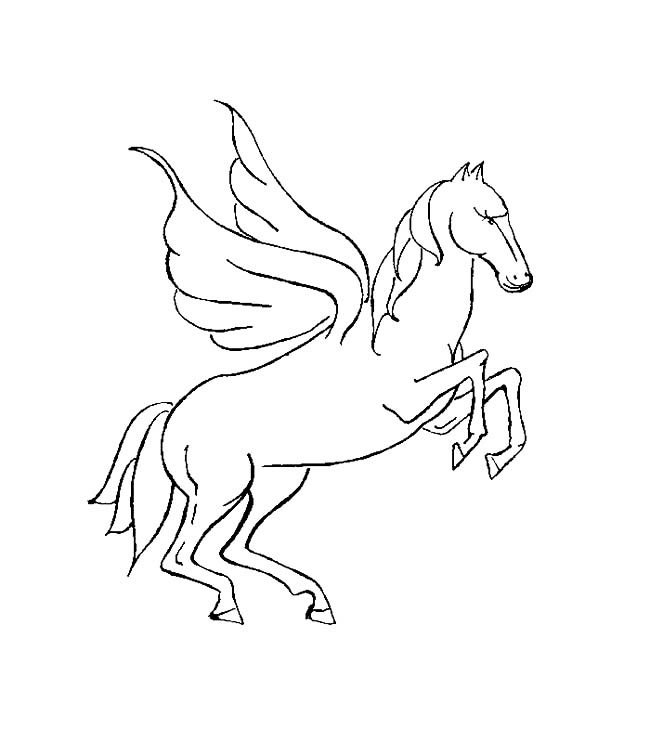 飞天马动物简笔画步骤图片大全