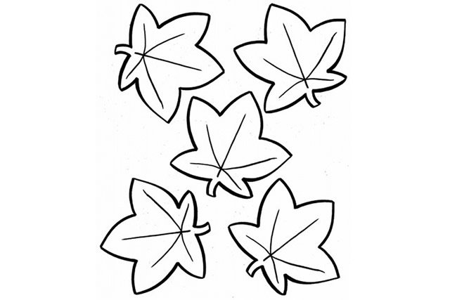 秋天枫叶简笔画图片3