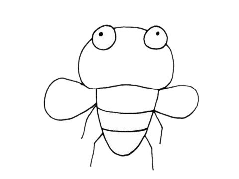 苍蝇简笔画图片