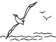 幼儿风景简笔画图片:大海上的海鸥