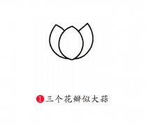荷花简笔画的画法步骤图