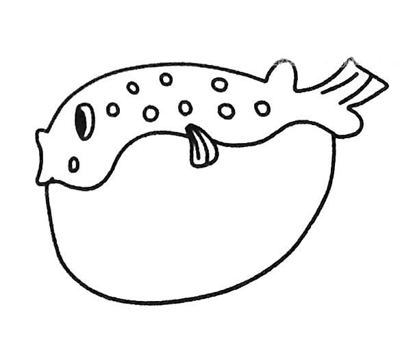 6款可爱的河豚简笔画图片