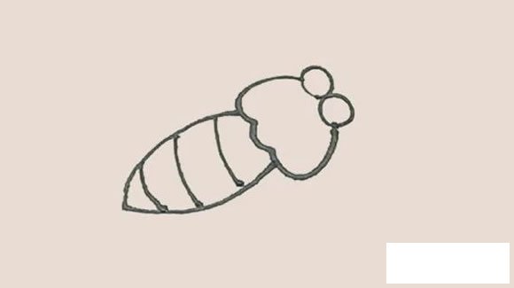 飞蛾简笔画图片