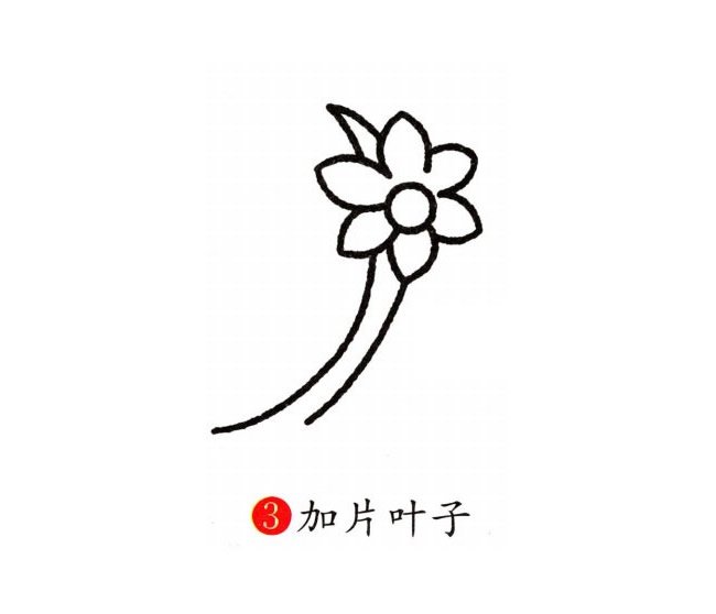 兰花简笔画彩色图片