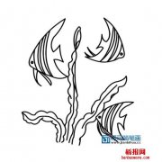 鱼和海带的简笔画海底世界