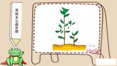 茶树怎么画步骤