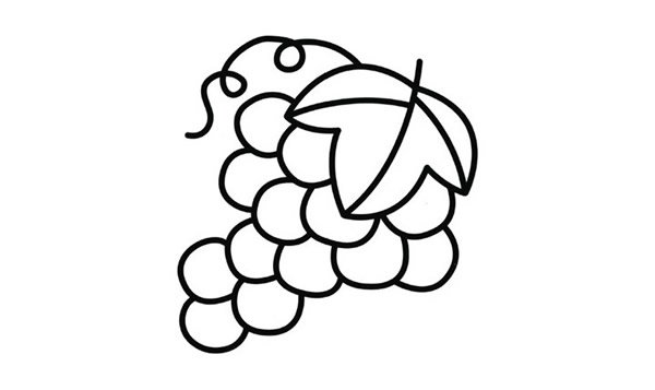一串葡萄简笔画