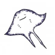 可爱的魔鬼鱼简笔画图片