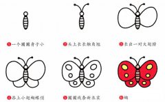 蝴蝶动物简笔画步骤图片大全