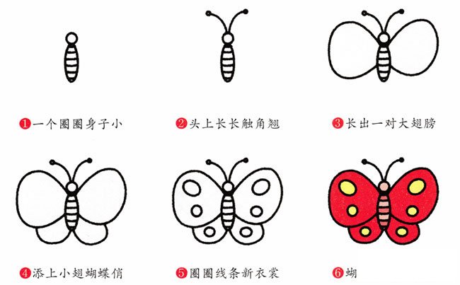 蝴蝶动物简笔画步骤图片大全