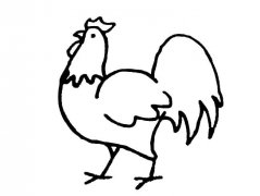 卡通公鸡简笔画图片