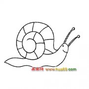 简笔画：小蜗牛6