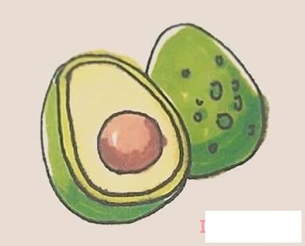 简单牛油果怎么画涂颜色带步骤图