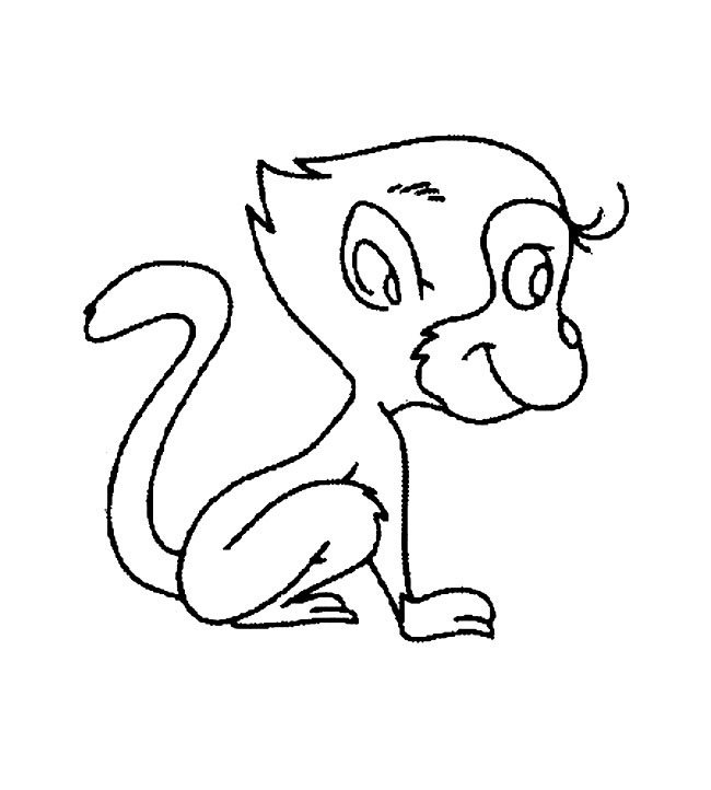 长毛小猴子动物简笔画步骤图片大全