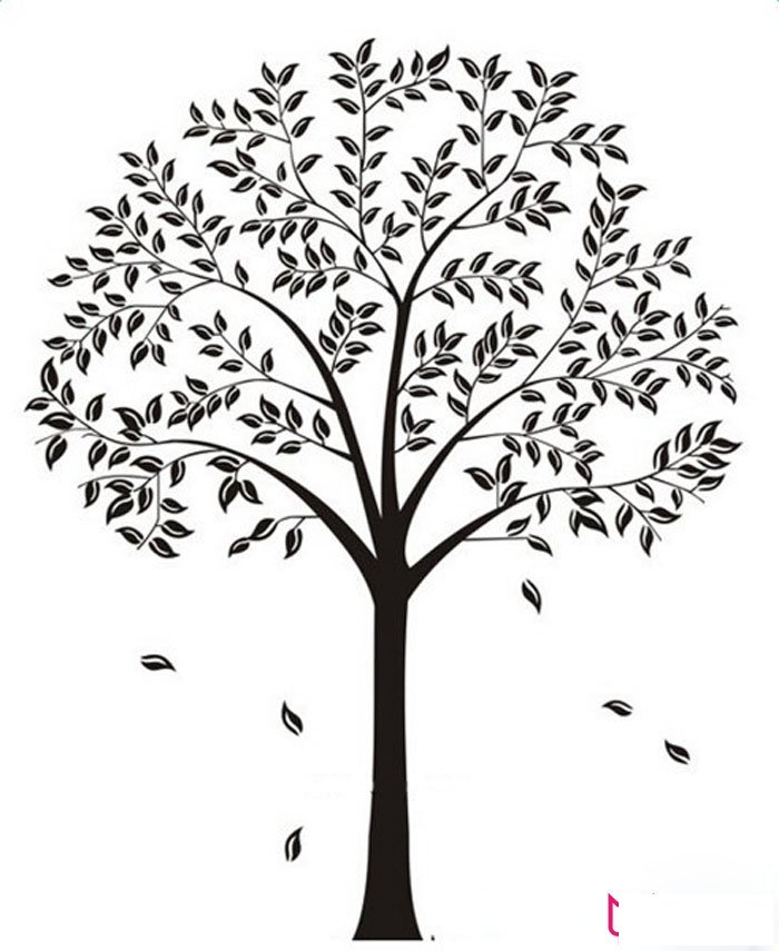 儿童简单的生命树简笔画
