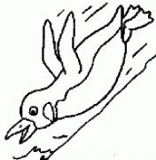 幼儿企鹅简笔画图片:水中捕食的企鹅