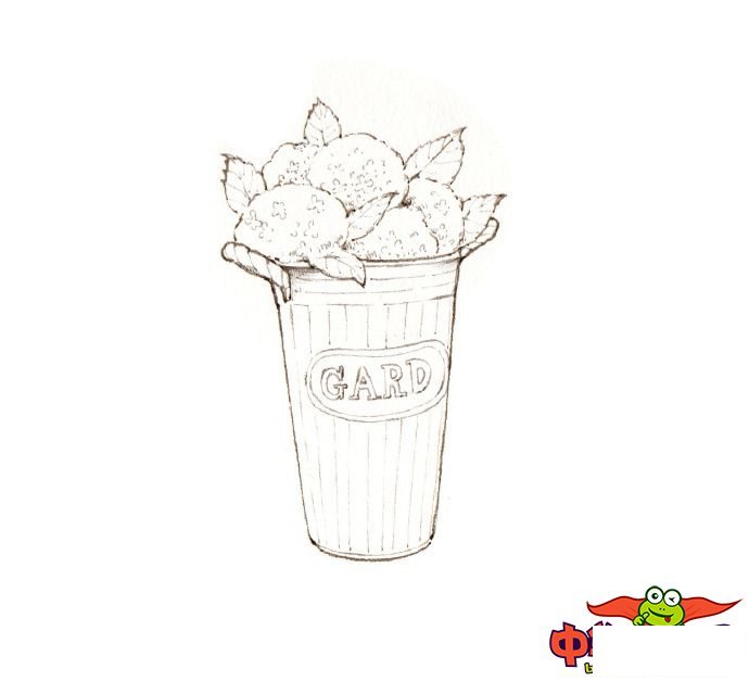 文艺小清新植物简笔画图片大全,儿童简笔画植物花草