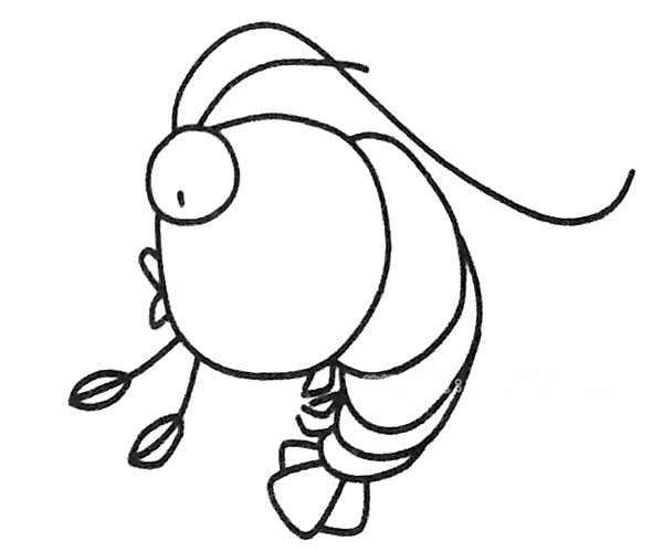 6款卡通虾的简笔画图片