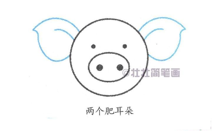 小猪简笔画画法_怎么画小猪的简笔画