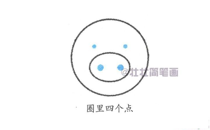 小猪简笔画画法_怎么画小猪的简笔画