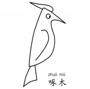 手绘啄木鸟简笔画图片
