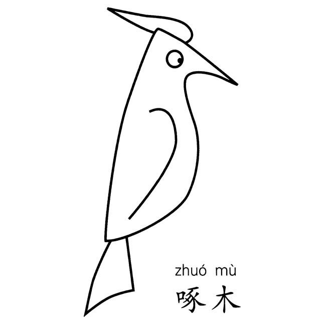 手绘啄木鸟简笔画图片
