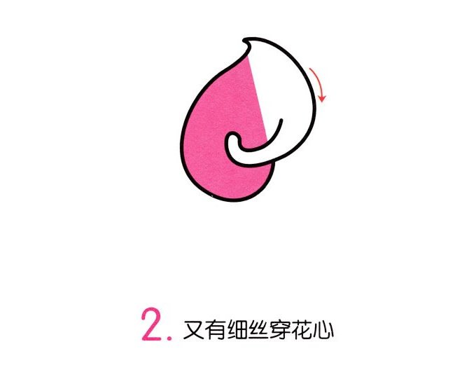 马蹄莲简笔画彩色图片