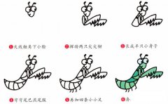 螳螂动物简笔画步骤图片大全