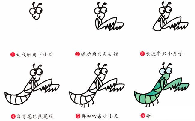 螳螂动物简笔画步骤图片大全