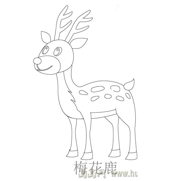 儿童简笔画：漂亮的梅花鹿