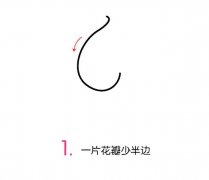 马蹄莲简笔画的画法步骤图