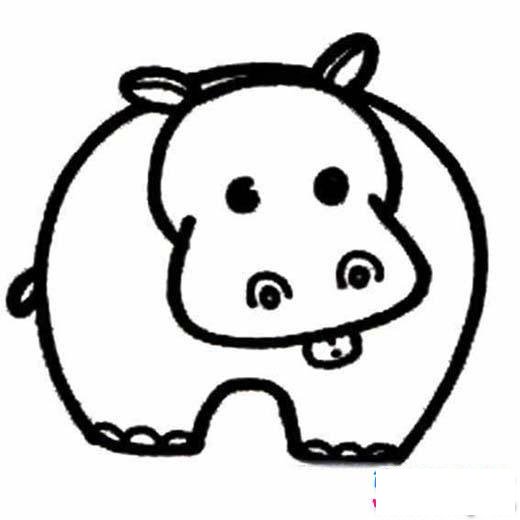 少儿河马正面简笔画图片