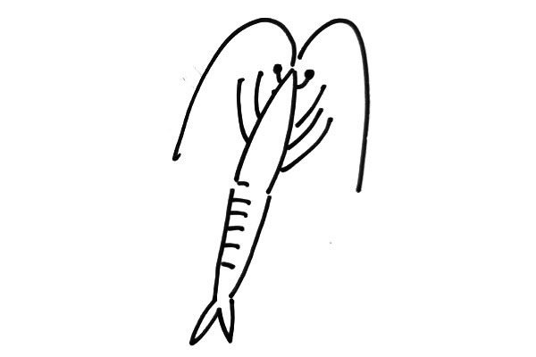 小虾米简笔画