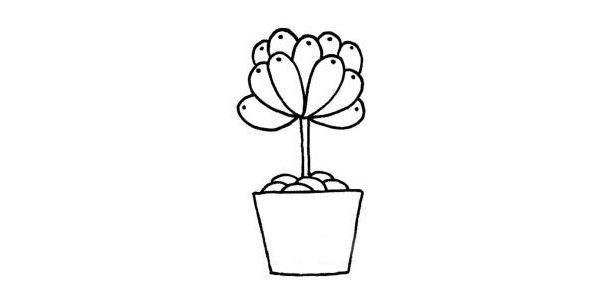 多肉植物简笔画步骤图