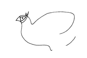 褐马鸡简笔画图片