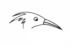 白鹭简笔画图片