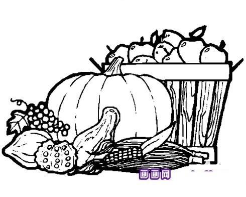 大南瓜的简笔画1